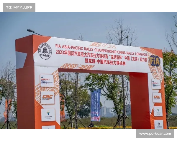 国际汽联修订赛车承重标准，中国站事件促技术规则细化